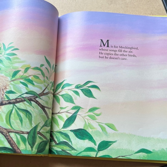 Hardcover First Edition “S IS FOR SUNSHINE; A Florida Alphabet” Carol Crane - Picture 14 of 15